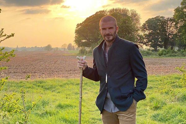 陰陽師殘局得勝觀瀾譎怎么打2025