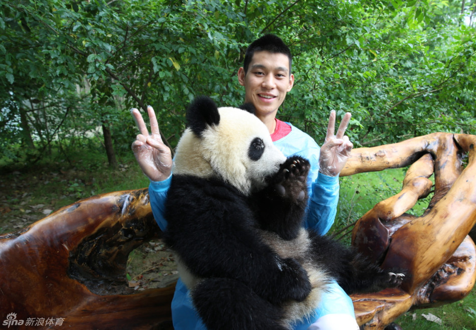 赌足球app十大排行最新版