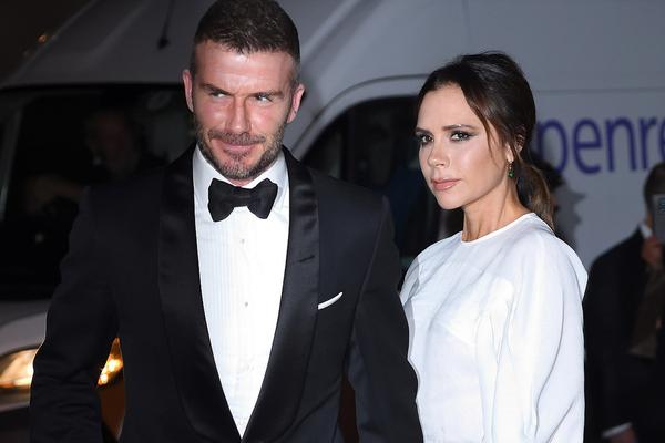 泰拉瑞亞布怎么得 從基礎布料獲取到高級制作方法全解析