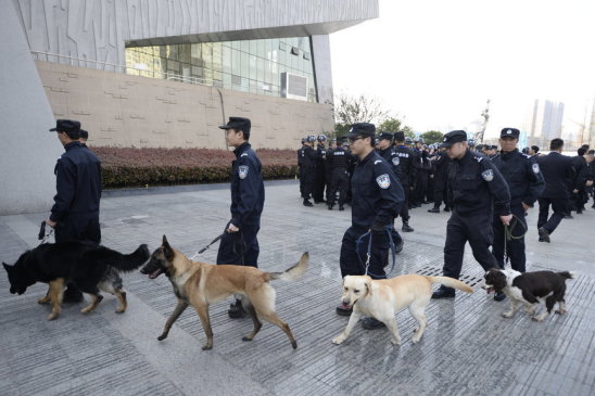 看球直播app下载官网最新版