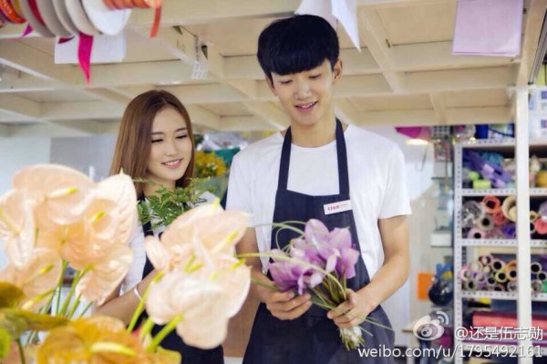 九牧之野反擊盾陣容搭配攻略