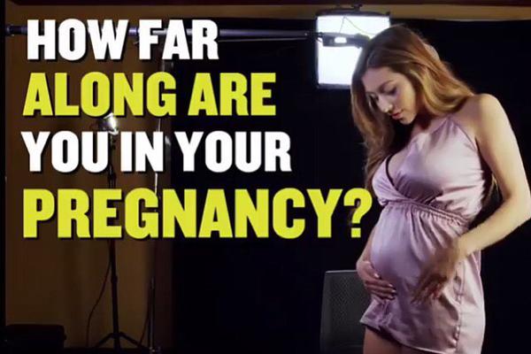 場均三雙！約基奇2025年場均得到32.8分14.8籃板11.6助攻