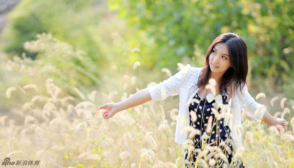 九牧之野反擊盾陣容搭配攻略