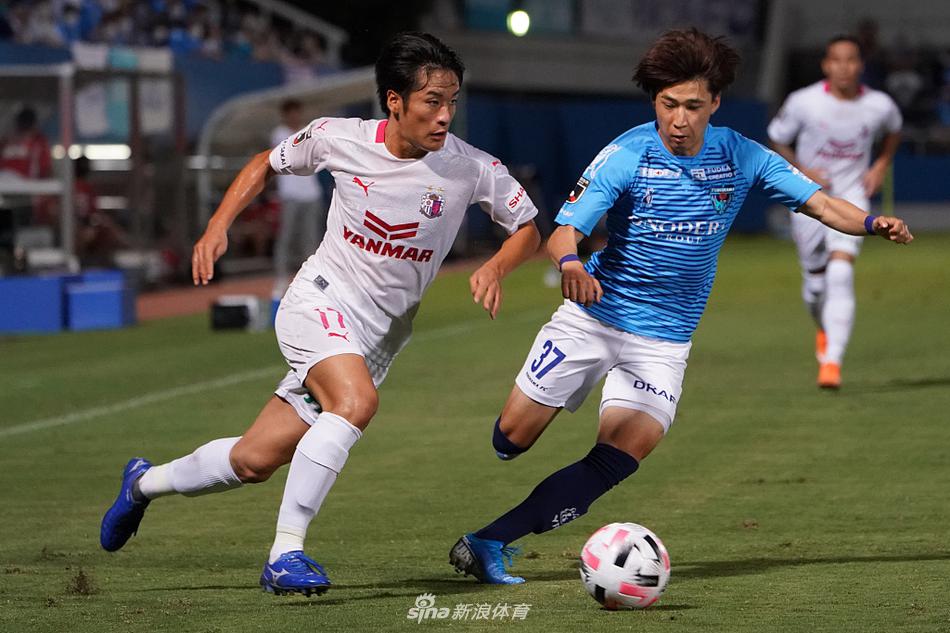 潛水員戴夫懶人賺錢攻略