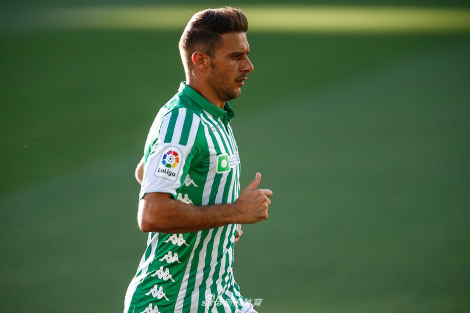 貓游紀好玩嗎 貓游紀玩法簡介